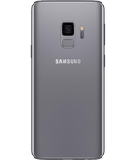 back-view