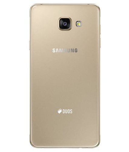back-view