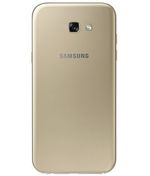 back-view