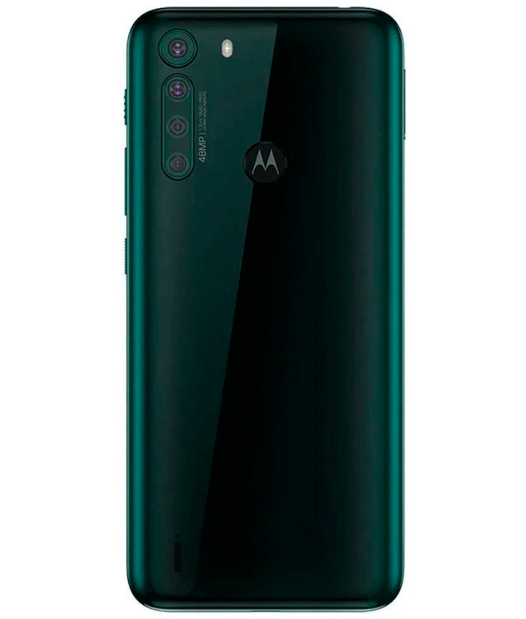 back-view
