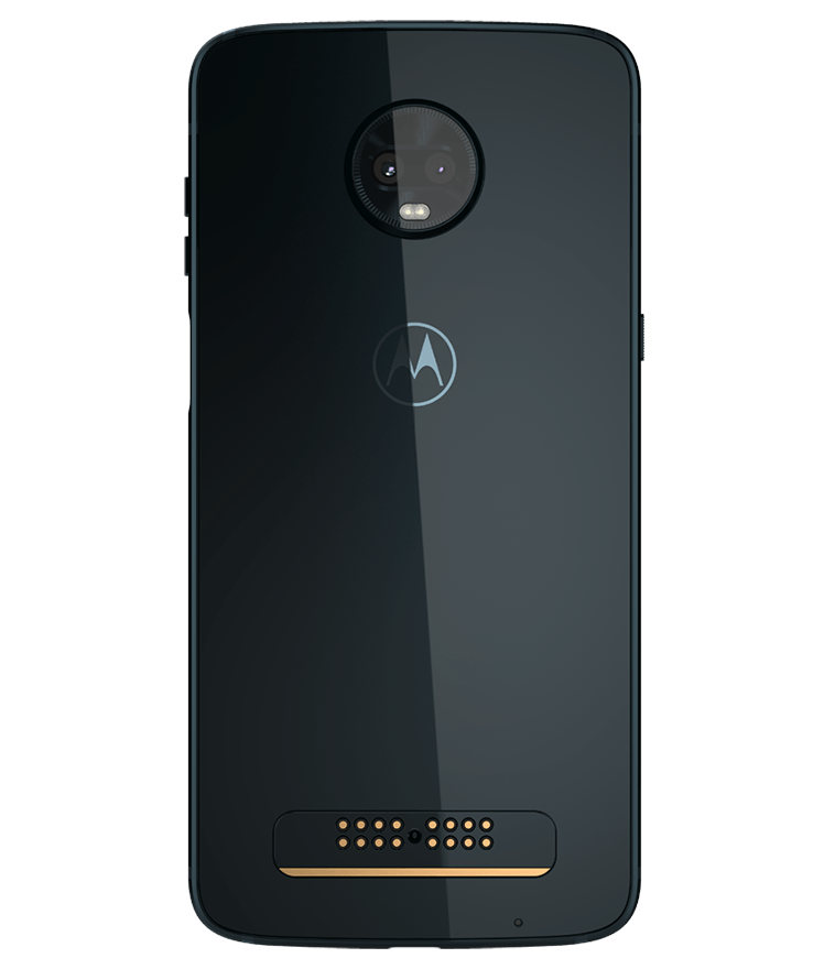 back-view