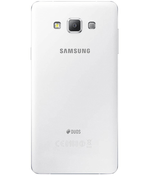 back-view