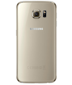 back-view