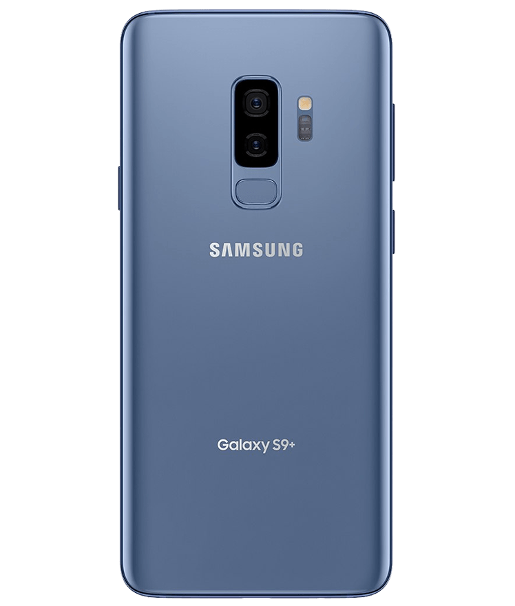 back-view