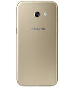 back-view