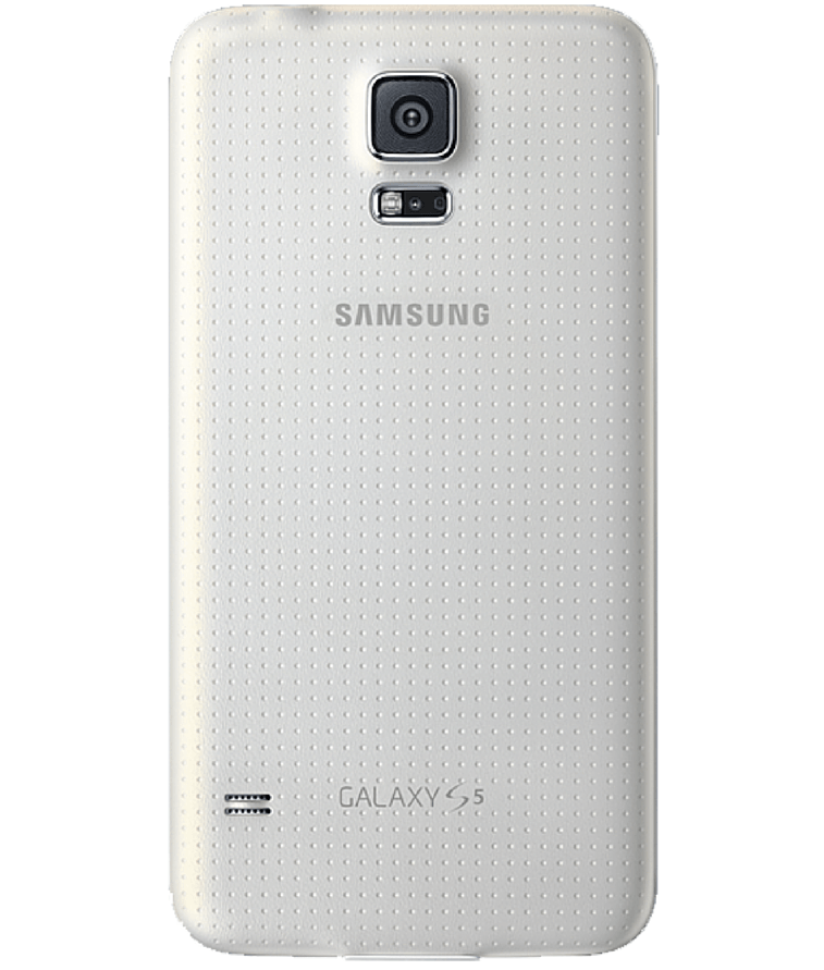 back-view