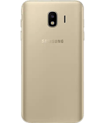 back-view