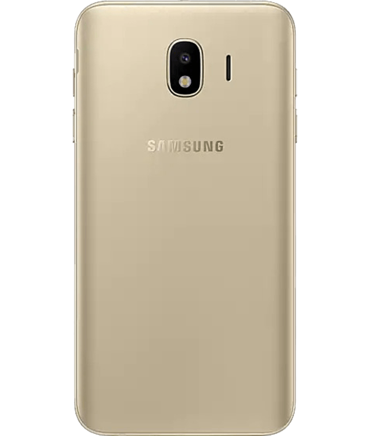 back-view