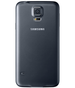 back-view