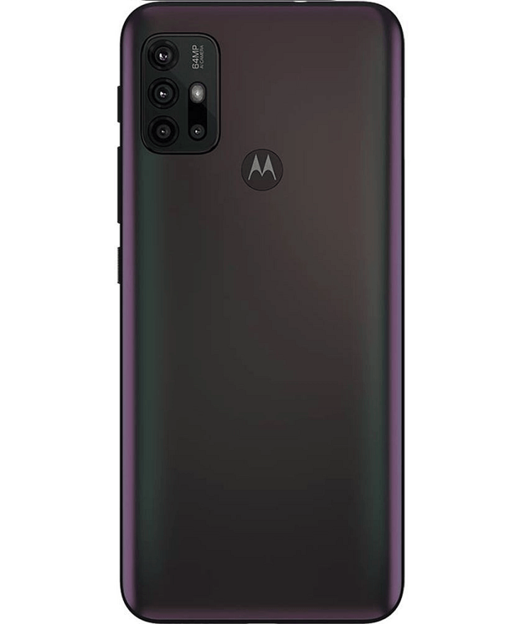 back-view