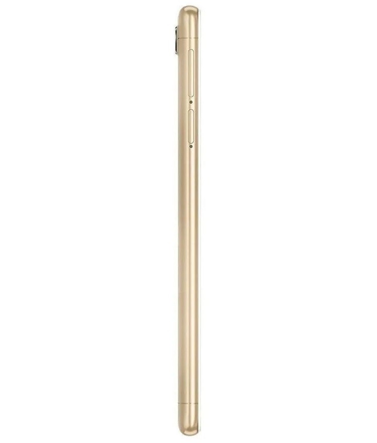 back-view