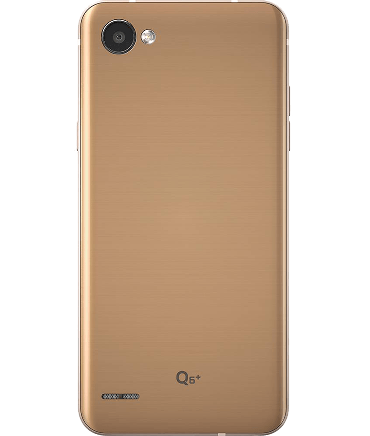 back-view