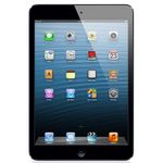 iPad Mini Wi-Fi + 4G 16GB Cinza Espacial Bom