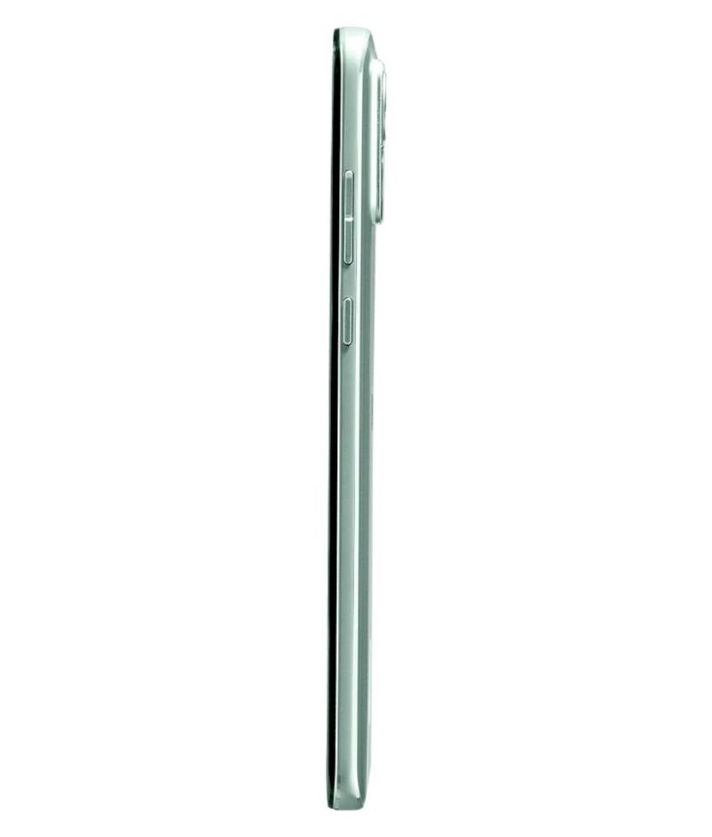 back-view