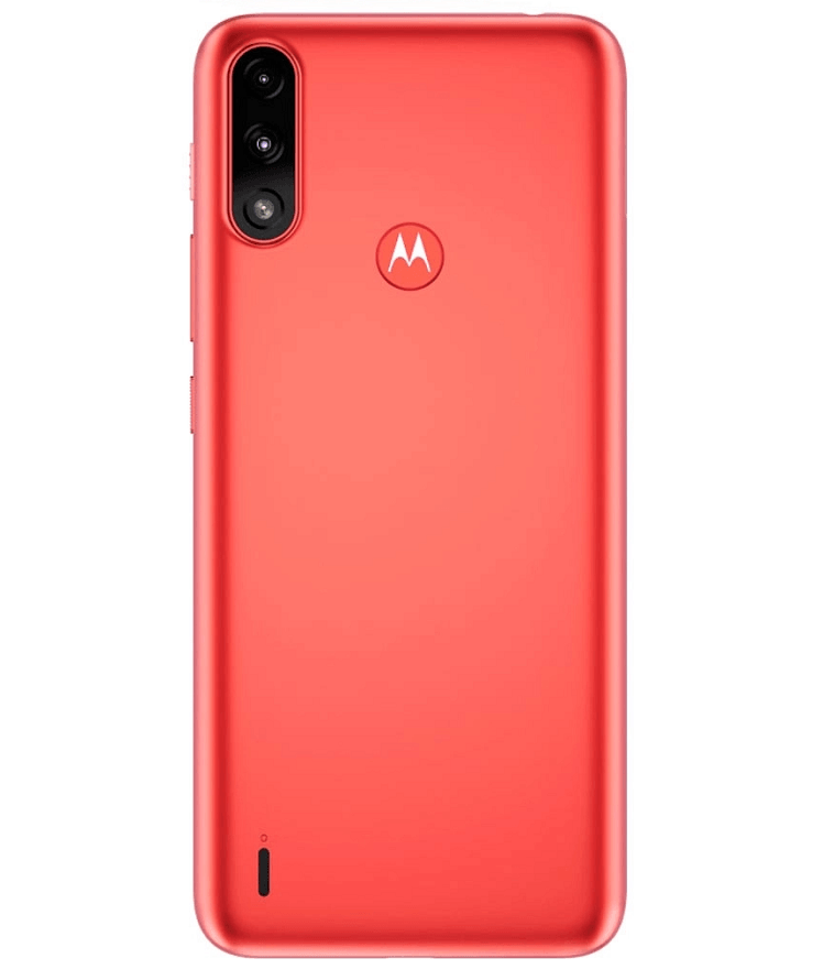 back-view