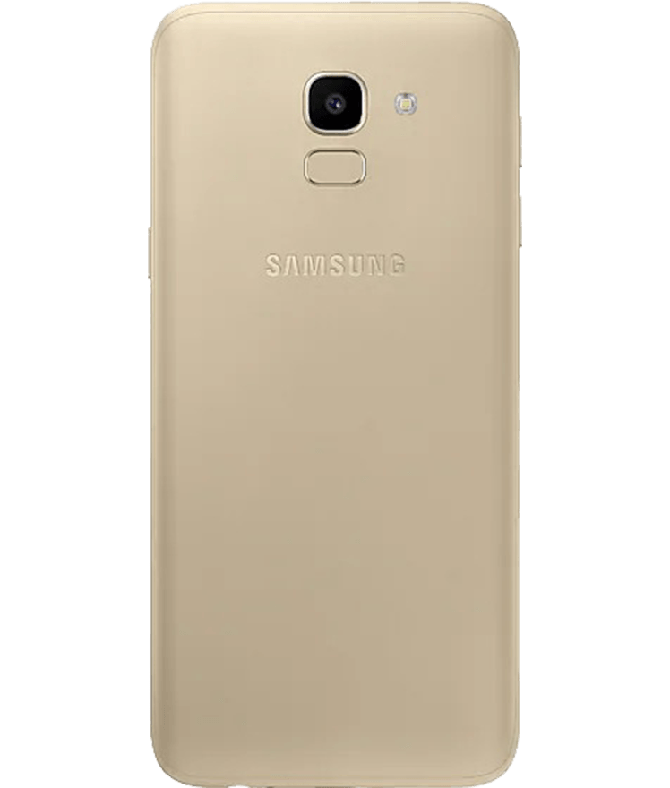 back-view