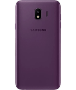 back-view