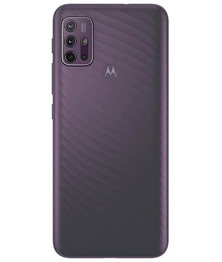 back-view