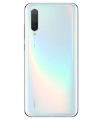 back-view