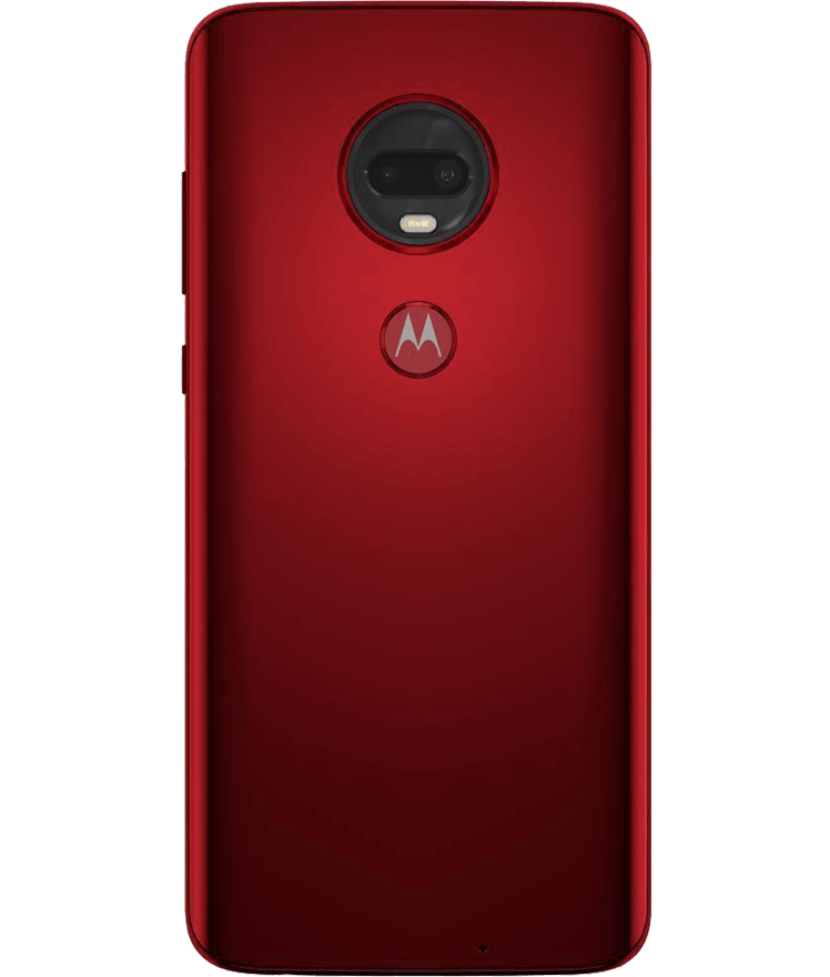 back-view