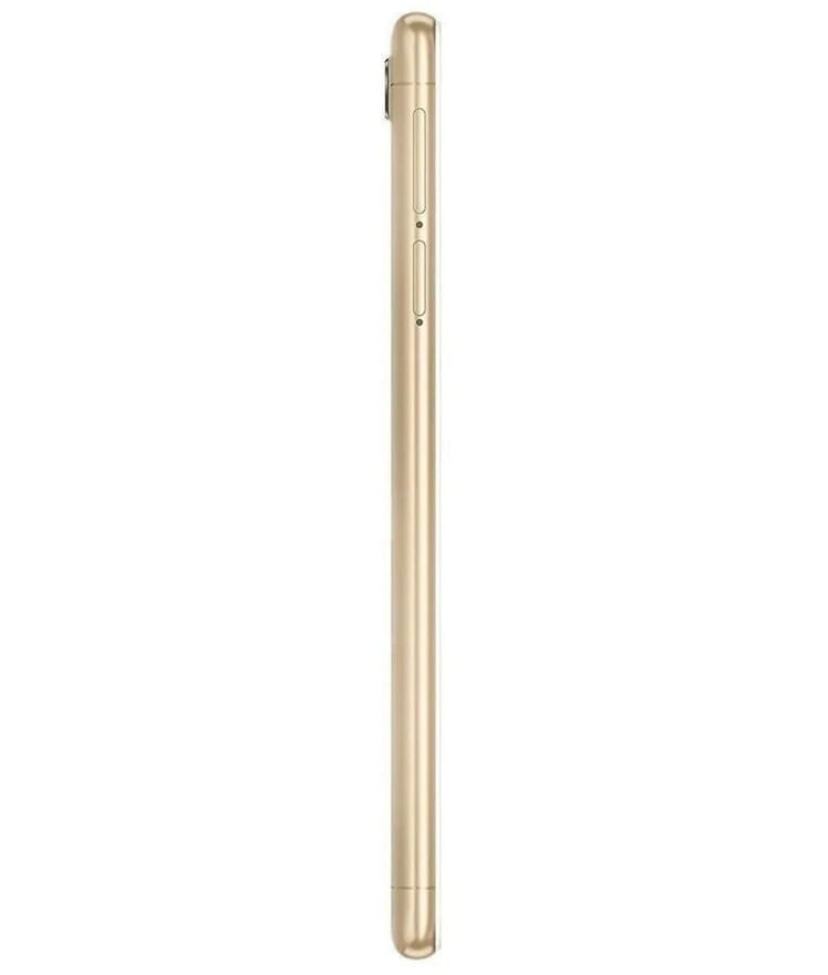 back-view