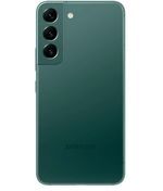 back-view