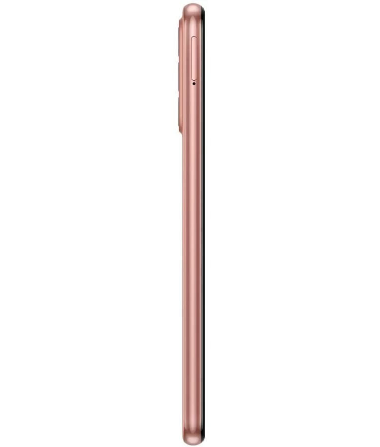 back-view