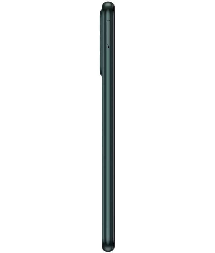 back-view