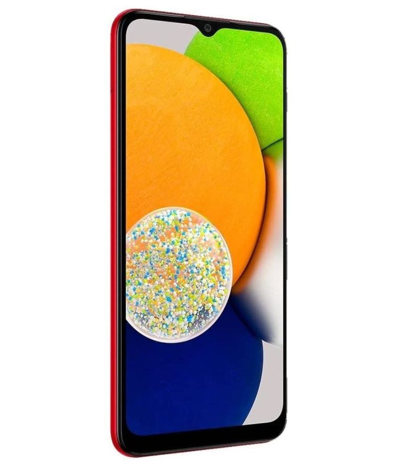 back view