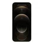 Iphone 12 Pro Max - Dourado 256GB - (Sem Face/Touch ID) - Recondicionado